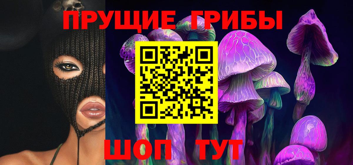 Сергиев Посад  Псилоцибиновые грибы MAGIC MUSHROOMS  Вход с VPN 