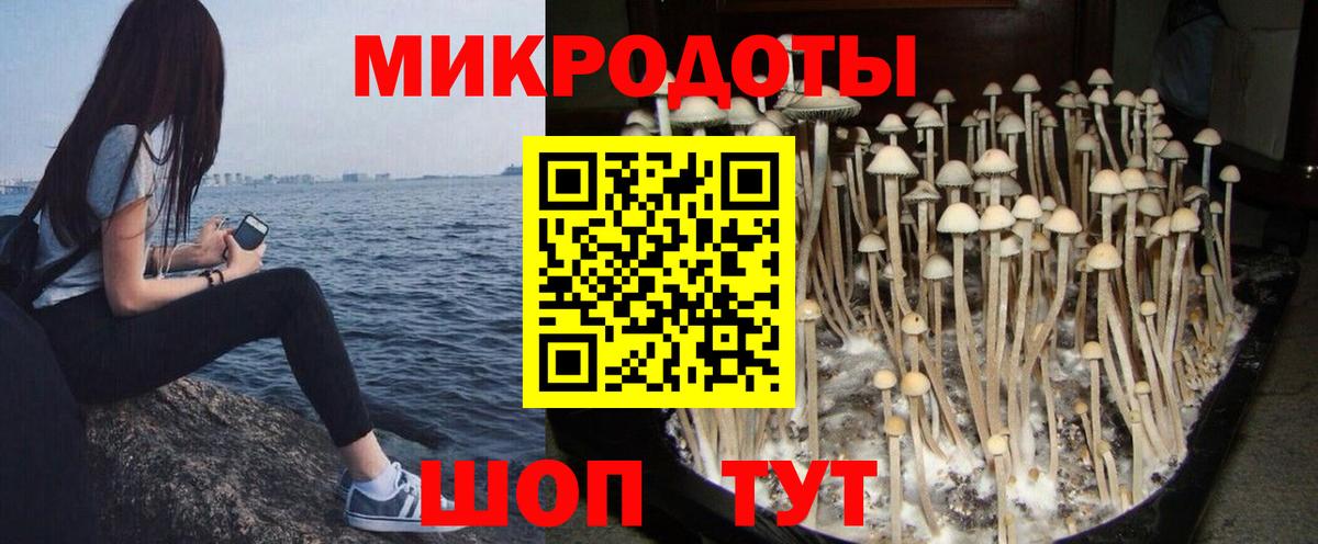 Псилоцибиновые грибы мицелий Сергиев Посад